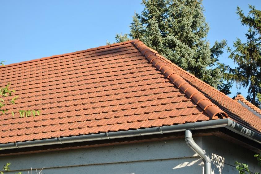 A héjazat színeként vörös, és vöröses barna