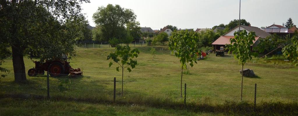 Mindezek tükrében megjegyzendő, hogy egyetlen közkert, közpark sem kezelhető önmagában, hiszen egy nagyobb zöldfelületi rendszenek a részei.