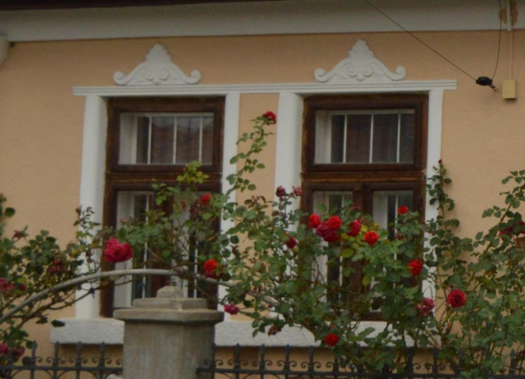 SZIRMABESENYŐ NAGYKÖZSÉG
