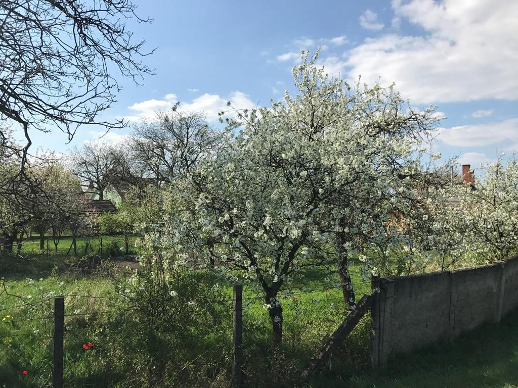 SZIRMABESENYŐ NAGYKÖZSÉG