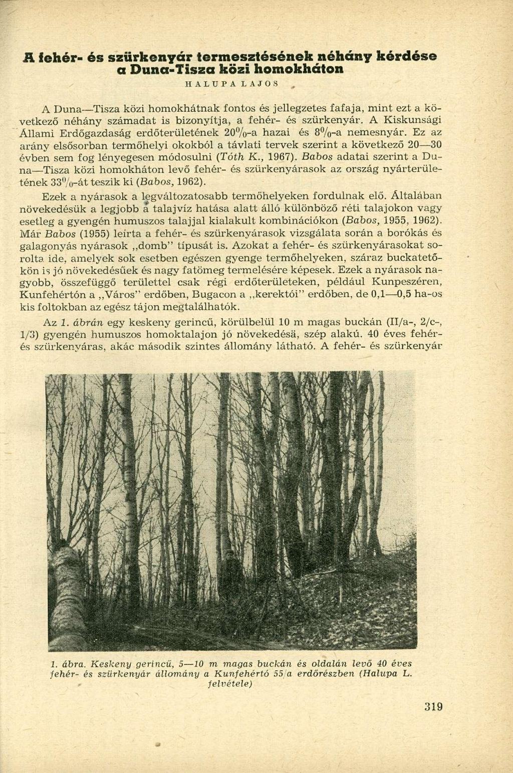 A fehér - és szürkenyár termesztéséne k néhány kérdés e a Duna-Tisza közi homokháton H A L U P A LAJOS A Duna Tisza közi homokhátnak fontos és jellegzetes fafaja, mint ezt a következő néhány számadat
