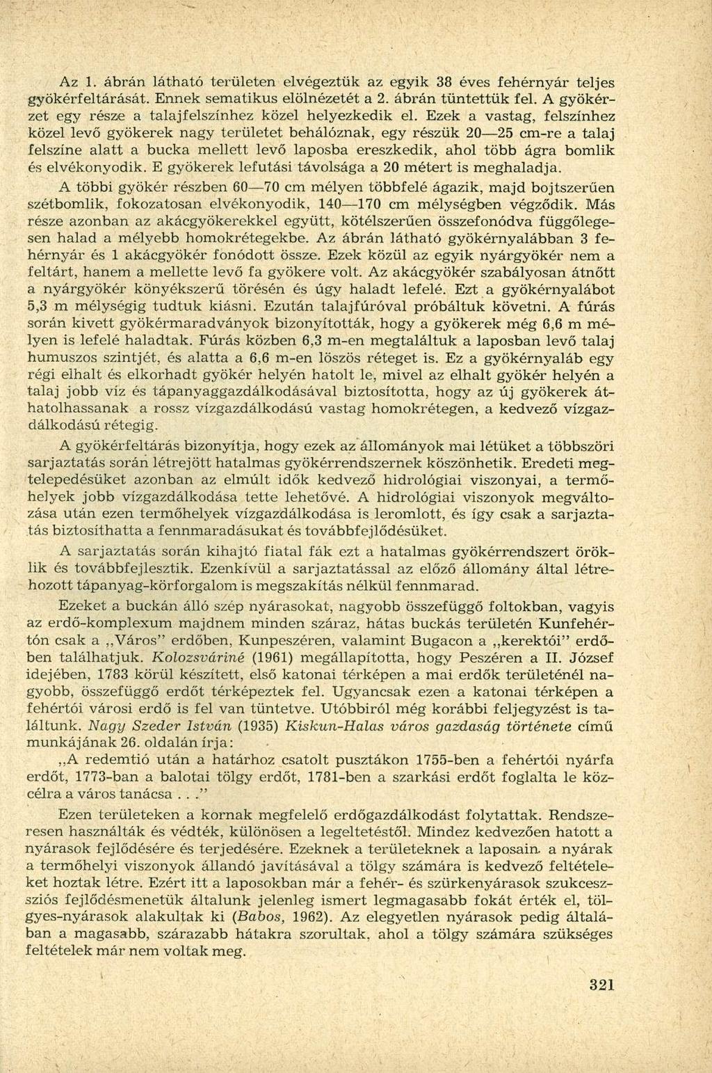 Az 1. ábrán látható területen elvégeztük az egyik 38 éves fehérnyár teljes gyökérfeltárását. Ennek sematikus elölnézetét a 2. ábrán tüntettük fel.