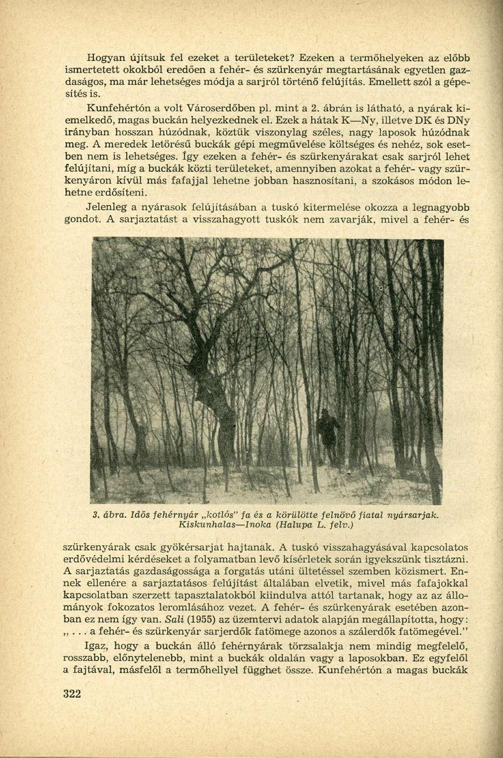Hogyan újítsuk fel ezeket a területeket?
