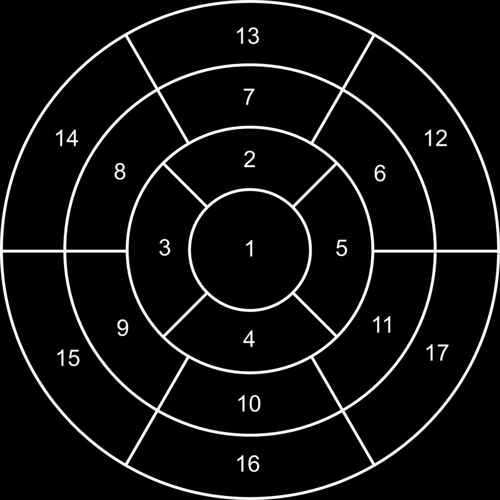 (a) (b) 4.8. ábra. Bullseye előállítása szívizom perfúziós SPECT vizsgálatoknál.