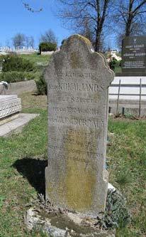 elhelyezése javasolt.