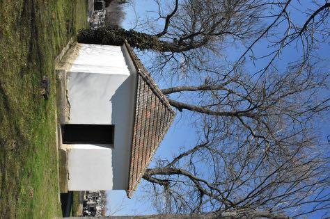 Két értékes fa /hárs és tölgy/ található a templom