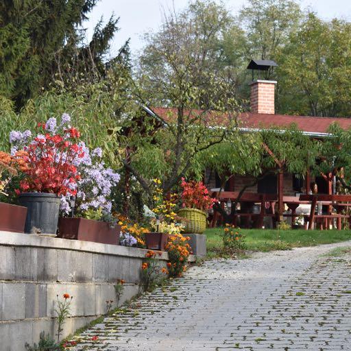 28 Szőlőhegy 29 Az Alsó-mező nyílt, alföldies jellegű tájképétől élesen elválik a Kemenesháthoz