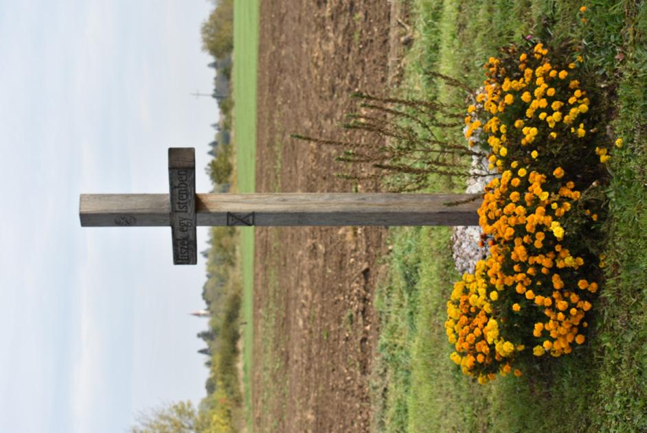 Fejlődő,
