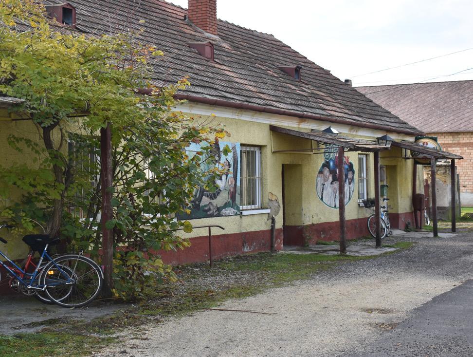 -  8. Élelmiszer üzlet