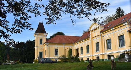 A família legismertebb államosítás után is lakóházként szolgált, majd a rendszerváltás után Szuhay Balázs színművész felesége vásárolta meg, aki maga is Vidos-leszármazott A kastélyt építtető koltai