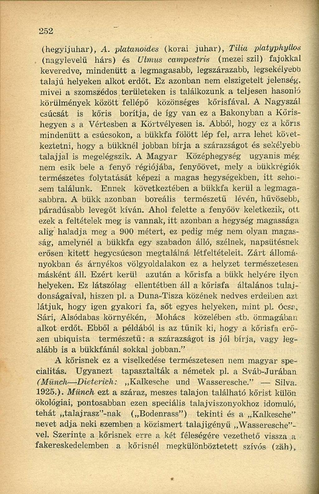 (hegyijuhar), A.