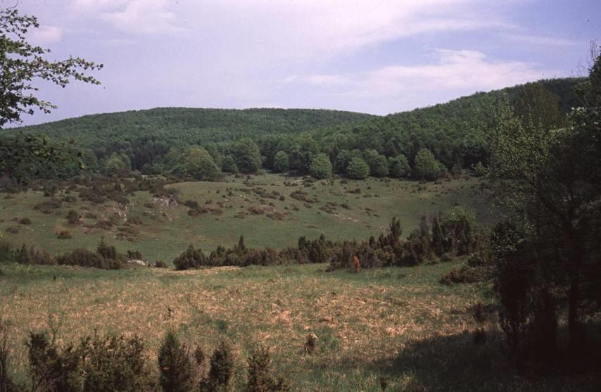 Vizes élőhelyek