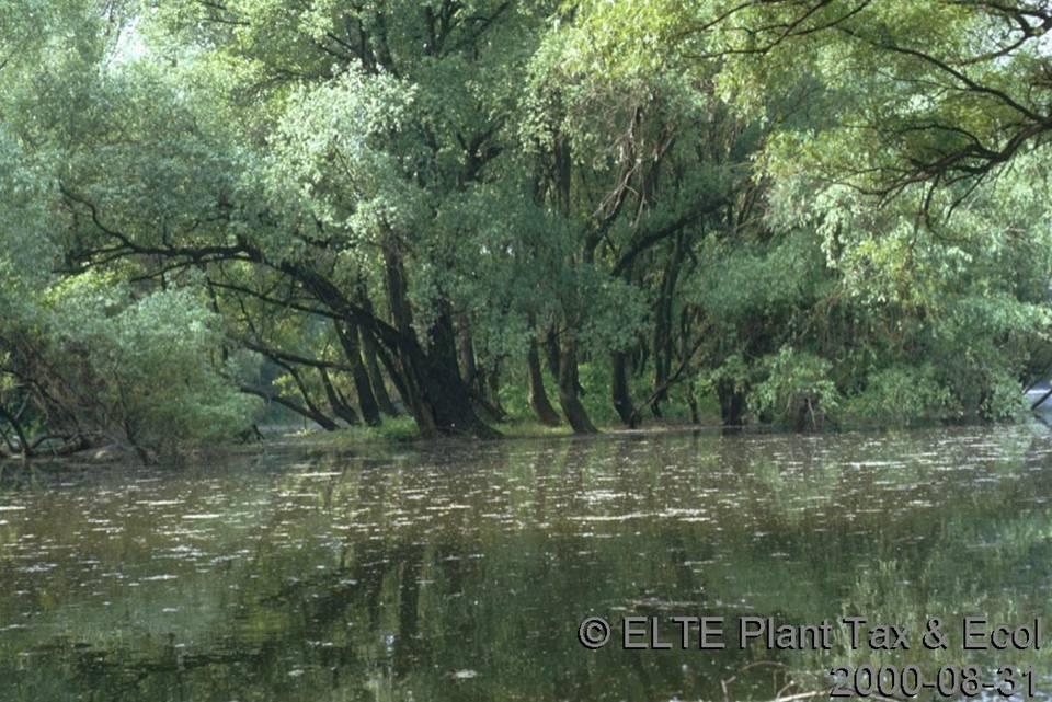 Vizes élőhelyek