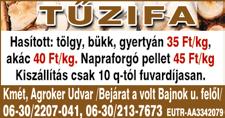 www. keszin. hu 7 A D Á S - V É T E L KISBÚTOROKAT, vitrintárgyakat, tányérokat, készleteket, CD-ket, kazettákat, retro dekorációs, érdekes tárgyakat vennék készpénzért. Fiatal gyűjtő.
