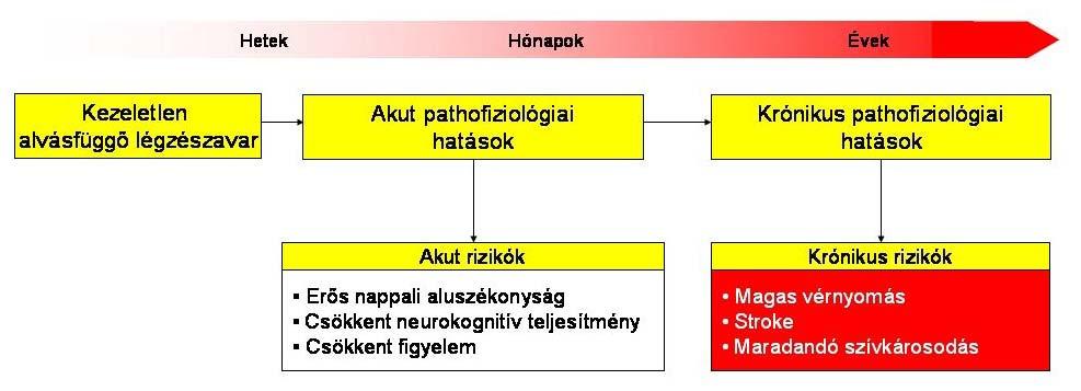 Összefoglalás Az alvásfüggő légzészavarok (pl. alvási apnoe) nagyon gyakoriak, de mindemellett igen jelentősen aluldiagnosztizáltak.