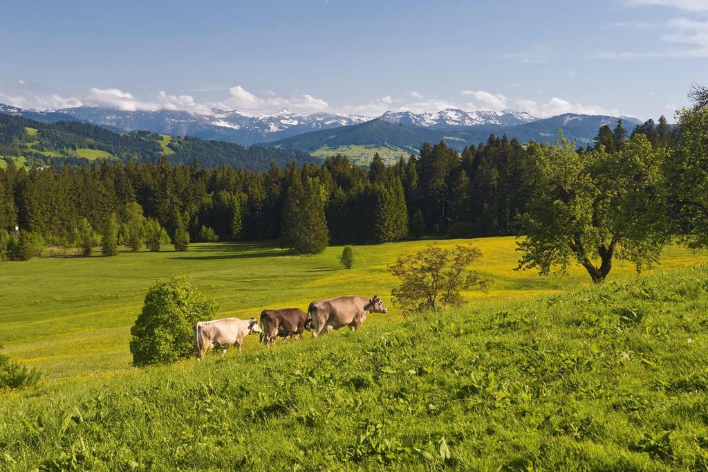 Westallgäu Tourismus e.v.