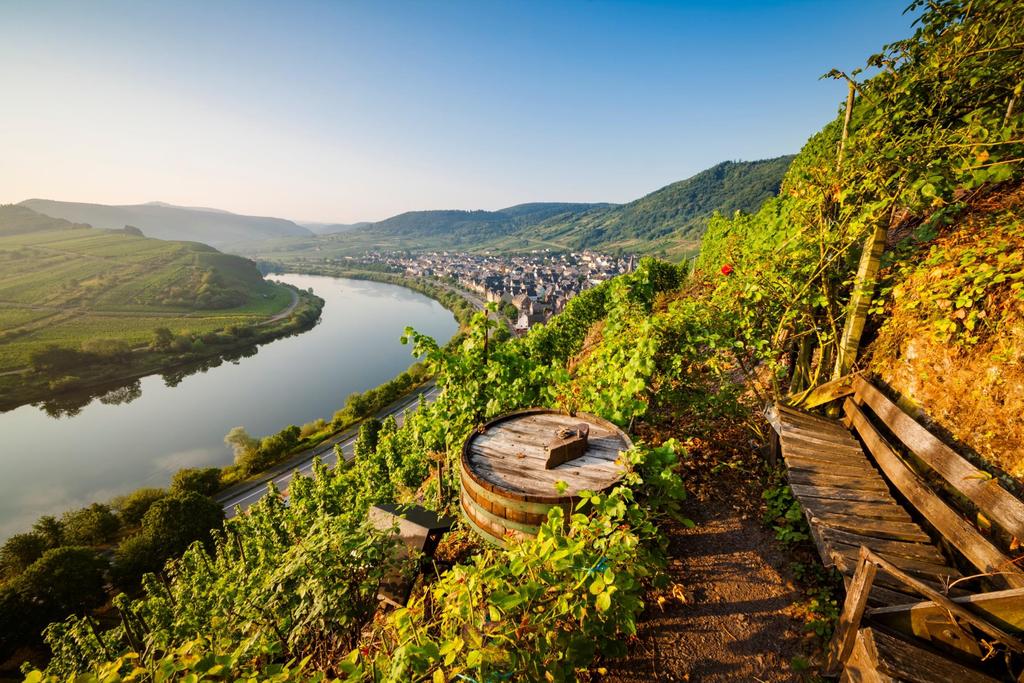 Mosel-borút