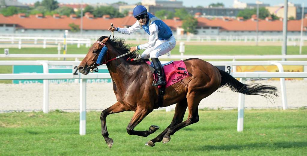 690 FT Lovasélet Sprinter Kupa: Victory Knick (Csordás