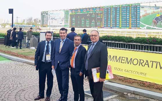 kivételesek, éppen olyanok, mint az élet más területén Koreában (nem északon).