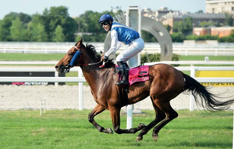 GALÉRIA MILLENNIUMI DÍJ: Rosenfire
