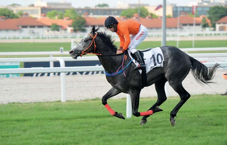 és Martin Laube lovasnak.