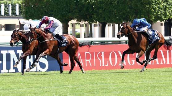 GALOPP 10 Medyna (FR) 57.0 Martin Laube 3 stpk Masterstroke (USA) - Makarie (FR) / Redback (GB) Maronka Gábor Istálló: Álmodó i. 2018.05.06 1/16 61.5 1600 Kincsem Park (3.