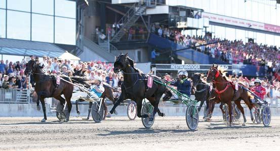 ÜGET 10 Vinifera M 2020 m Gras Mónika (-20 m) 4 stpk Cigar Dan - Sembs Jessamine / Armbro Trick Papp István Istálló: Gyolai i. 27.7 2018.04.28 2/9 22.3a 1800 Kincsem Park (j) 400000 Gyolai Zoltán am.