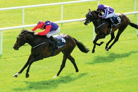 HÍREK Meglepetések Írországban, jön a Derby Angliában az írek egyik patinás pályáján ugyanis lefutották az 1000, illetve 2000 Guineas Romanised (Shane Foley) lopta el a show-t.