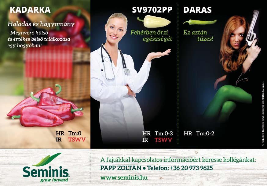 A növények esetében különböző élettani folyamatokban vesz részt, ahol komplex hatásmechanizmusokkal bír. A növények szilícium felvételi képessége a talajból sok mindentől függ.