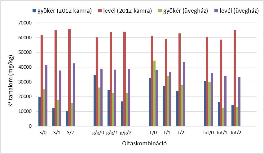 59. ábra: A gyökerek és levelek K + tartalma a 2012-es kamrás és az üvegházi kísérletben Az egyes növényi részek Ca ++ tartalma és a sókezelések illetve oltáskombinációk között semmilyen összefüggést