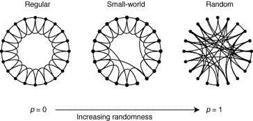 1.3.Watts-Strogatz modell Az imént említett két tulajdonságot jól jeleníti meg a Watts-Strogatz modell, amely a kis világ hálózat egyik modellje, amely a véletlen és szabályos gráfok között képez