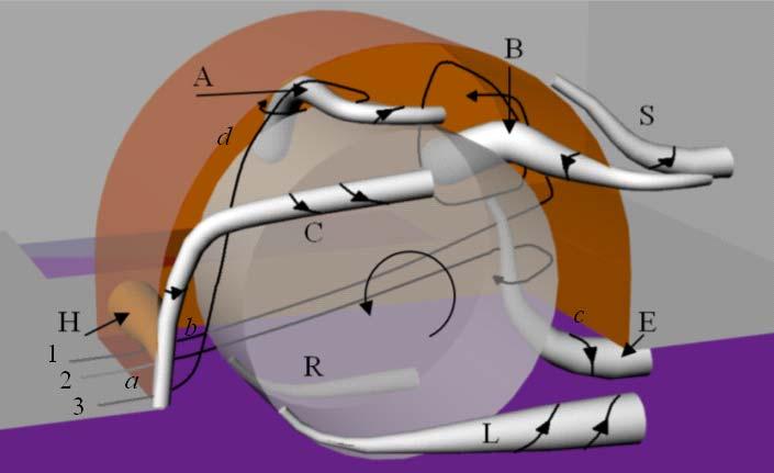 5. ábra A kerékházban kialakuló áramlás örvényváz modellje A 4.a ábrán látható modell segítségével meghatároztuk a kerékház geometria megváltozásának a 5.