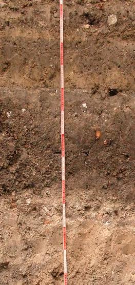 VI.6. A szegedi talajok besorolása a WRB(26) rendszerébe elmondható, hogy mivel már a szelvényfeltáráskor egyértelmű volt rétegeinek igen erős antropogén eredete, így a szelvény szintén az egyik alap