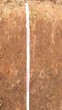 A következő téglatörmelékes réteg (9-11 cm) az 189-es várbontás idejéből származik.