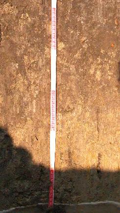 évekre tehető rétegek (13-155 cm) követnek.
