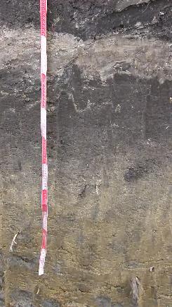 réteg (25-45 cm) az 198-as évekből származik, majd 45-9 cm között a kiállítóhely létrehozásakor