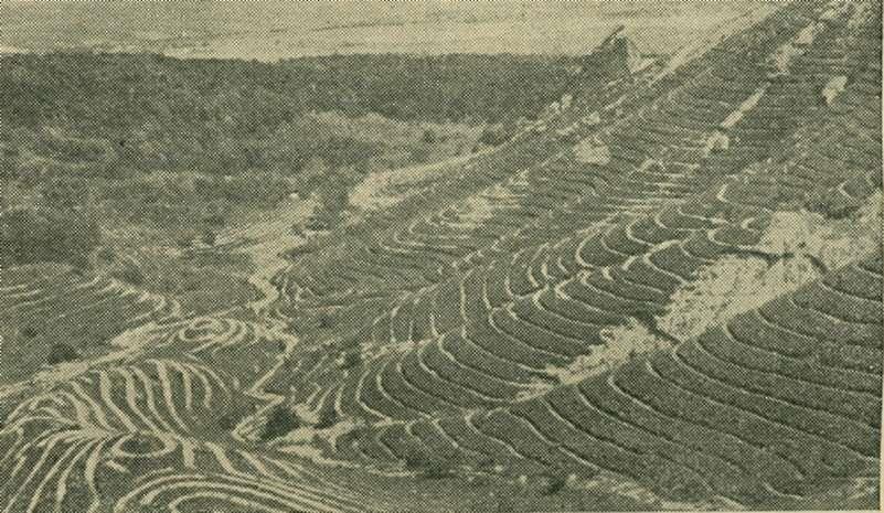 ösztönzéséről rendelkező 1898.