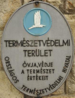 Előkészítő szakasz 1920