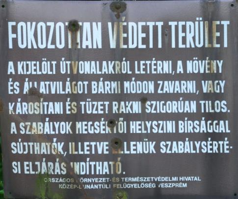 Átmeneti szakasz 1945 1961 (17