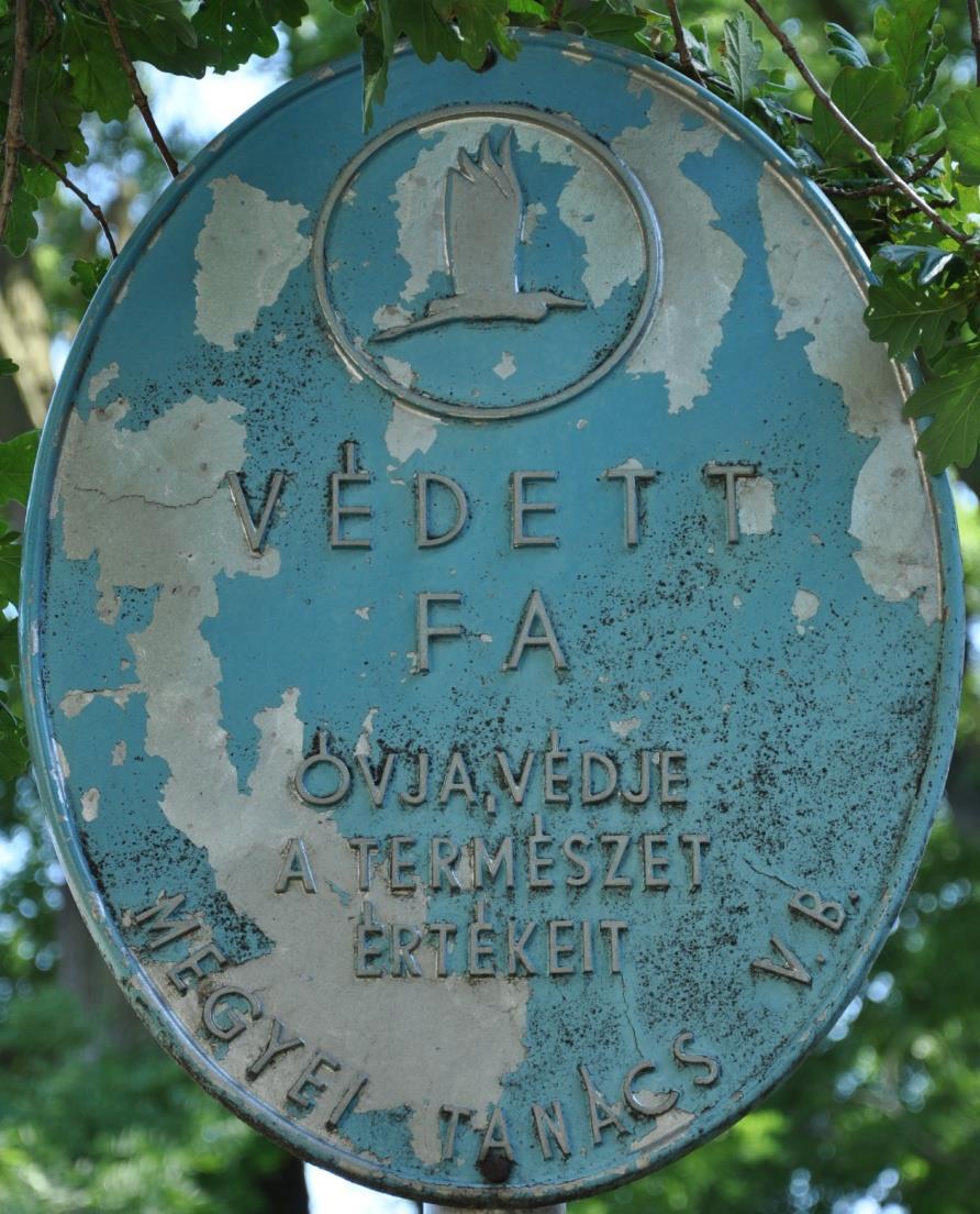 V. Megtorpanási szakasz 1962 1971-ig (10 év) Helyi jelentőségű természeti értékek (1971) Az 1971-es kormányrendelet megteremtette az országos jelentőségű és a megyei (fővárosi, megyei városi)