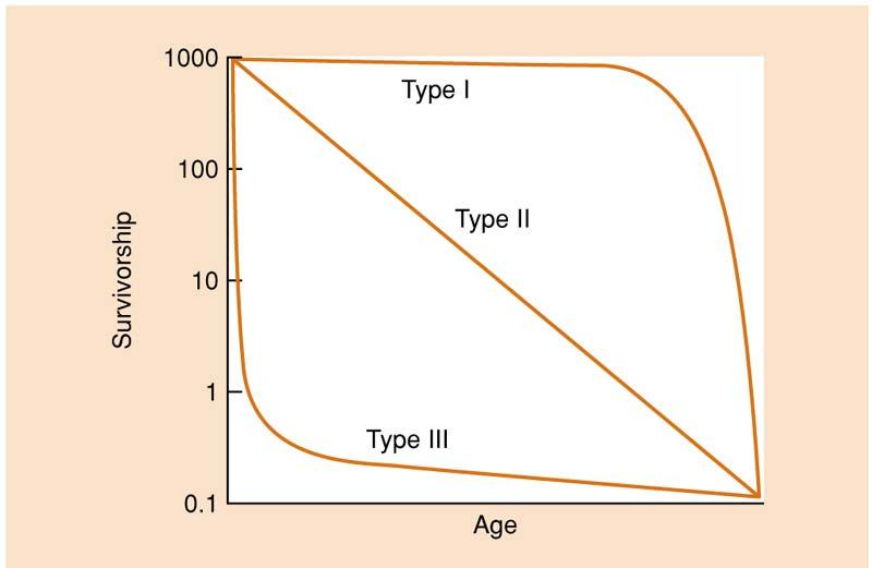 I. típus mortalitás maximális a öregkorban ember, házi kedvencek II.