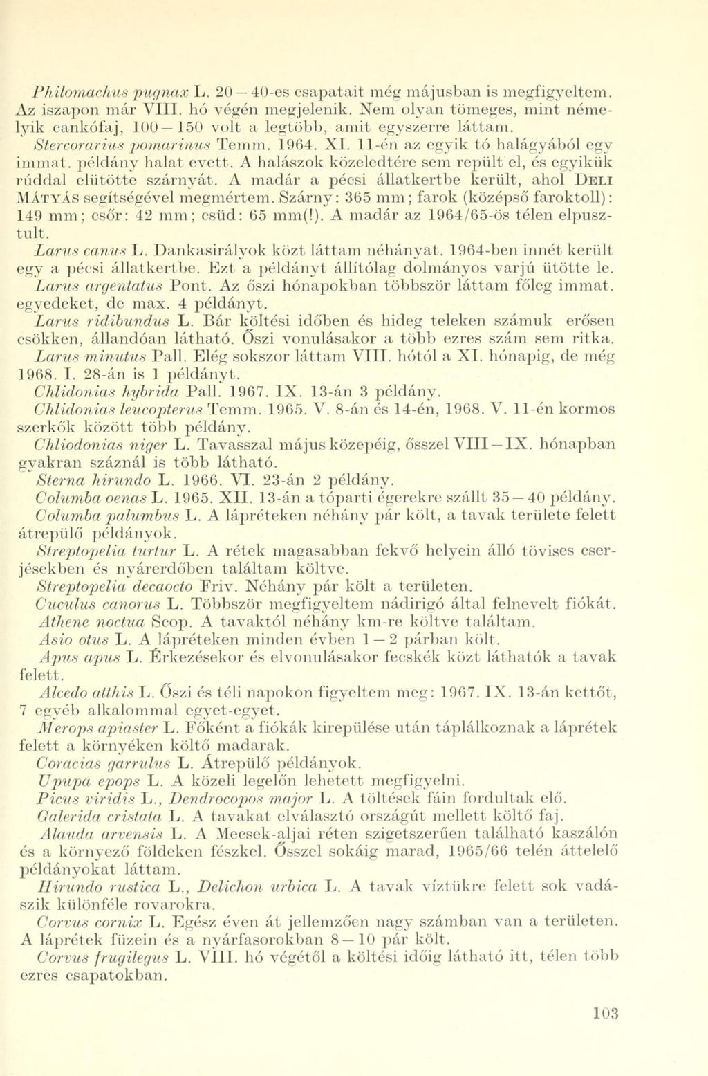 Philomachus pugnax L. 20 40-es csapatait még májusban is megfigyeltem. Az iszapon már VIII. hó végén megjelenik.