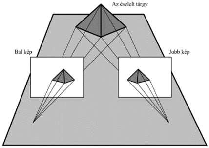 Térlátás A három-dimenziójú tárgyaknak a jobb és a bal oldali képe kissé eltér egymástól.