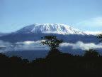 helyén ilyen a Kilimandzsáró 4960 méter magasságban fekv területei, vagy a Baringo-tó környéke Höhnel nem is járt, mégis az irodalom alapján a gy jt valódi személye általában tisztázatlan maradt,