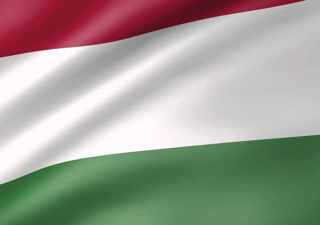 Amikor Pesten néhány fiatal úgy gondolta, kifordítja sarkából a világot, fellelkesíti a pesti utca népét, és mindazt, amit addig a reformkor költői, tudósai, művészei, politikusai évek hosszú során,
