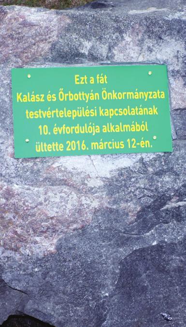 amire összesen mintegy 60 pályamunka érkezett.