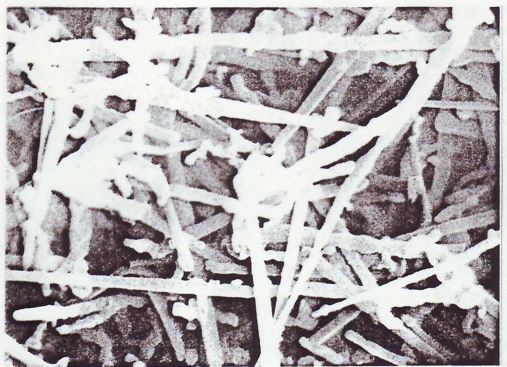 SiC - WHISKER Ø 0,1-10 μm L 5-50 μm ρ 3,9 g/cm 3 R M 14000
