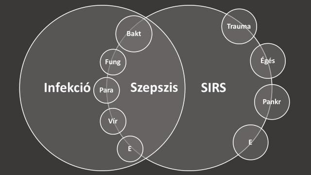 részletezett négy diagnosztikus kritérium közül legalább kettő teljesül. A gyulladás kialakulásának folyamatában a fehérvérsejtek aktiválódása kiemelt jelentőségű.