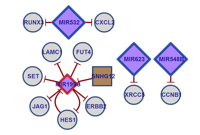 transcription factor Involved in TH17 differentiation and TGFb signalling involved in immunoregulatory and inflammatory processes.