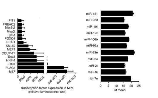 org/lookup/suppl/doi:10.